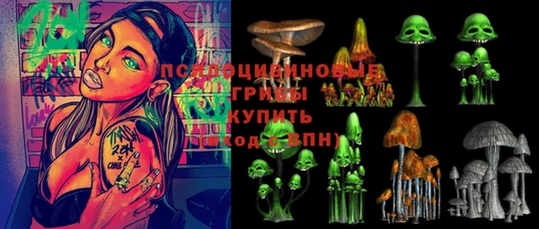 ГАЛЛЮЦИНОГЕННЫЕ ГРИБЫ Балахна