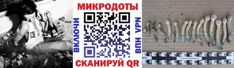 kraken вход  Верхнеуральск  Галлюциногенные грибы Magic Shrooms  купить  